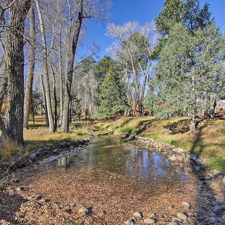 Cozy Colorado Cabin With Deck, Grill And River Access! Buena Vista Exterior photo