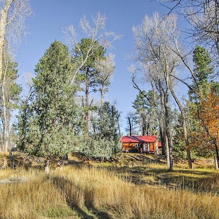 Cozy Colorado Cabin With Deck, Grill And River Access! Buena Vista Exterior photo