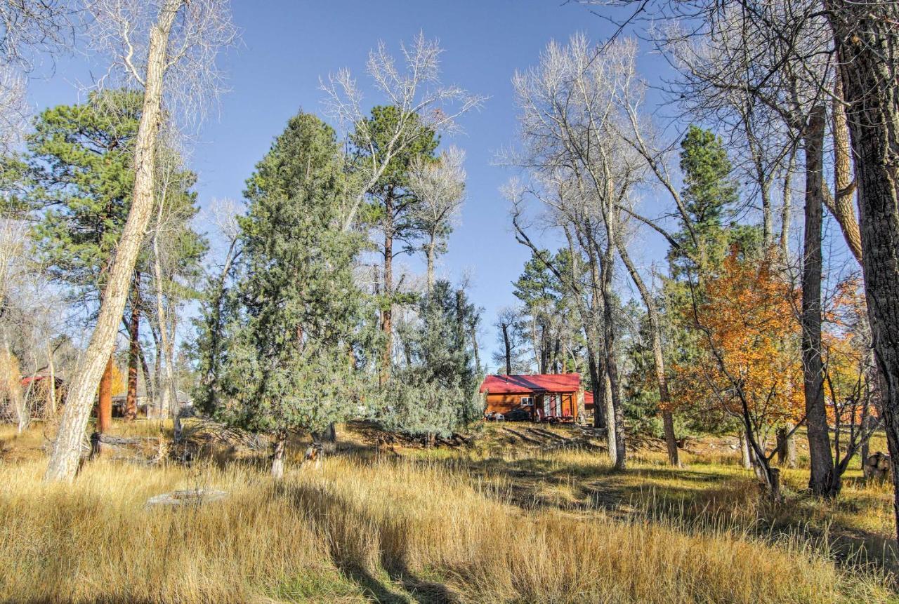 Cozy Colorado Cabin With Deck, Grill And River Access! Buena Vista Exterior photo
